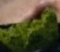 Canyoentegro